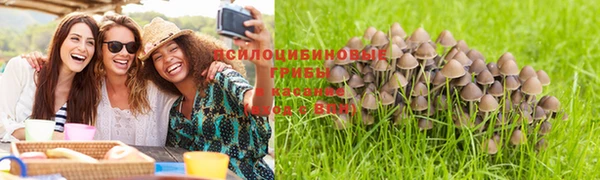 метадон Осинники