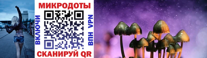 Галлюциногенные грибы Psilocybine cubensis  Купить где  Лесосибирск 