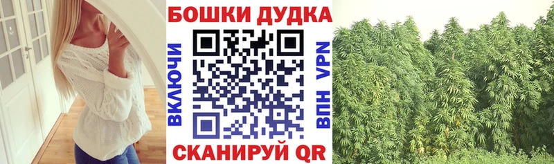 МАРИХУАНА Amnesia Купить где Лесосибирск